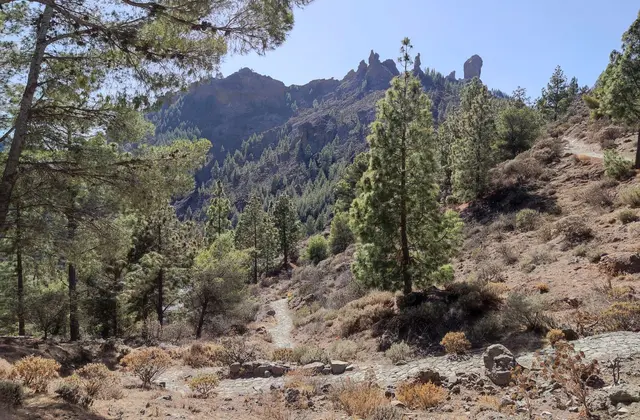 Parque Natural de Tamadaba op Gran Canaria